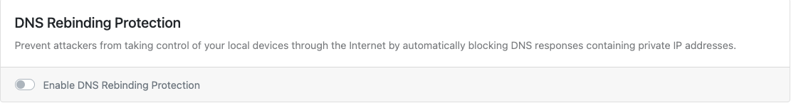 DNS Rebinding Protection